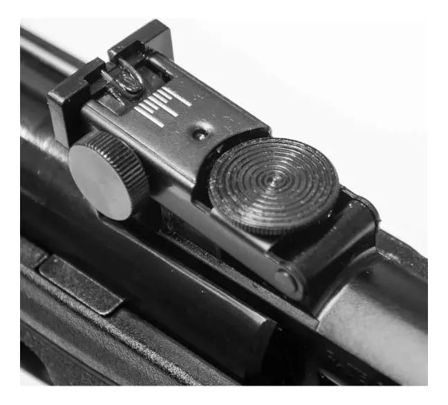 Rifle Gamo Deportivo G-magnum 1250 Resorte 5.5 Mm