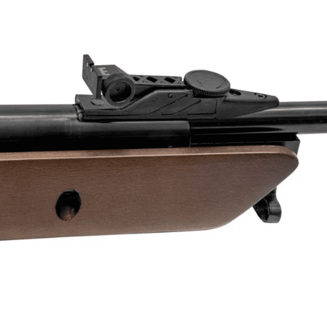 Rifle De Nitro Pistón Mendoza Balam Barniz 830fts - Barniz - color: Barniz